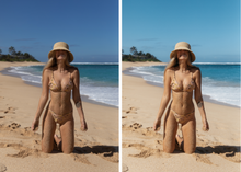 Load image into Gallery viewer, HAWAII - DESKTOP