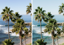 Load image into Gallery viewer, ESSENTIALS - DESKTOP