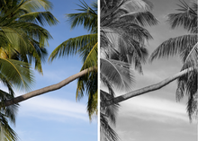 Load image into Gallery viewer, ESSENTIALS - MOBILE