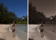 Load image into Gallery viewer, ISLAND - DESKTOP