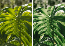 Load image into Gallery viewer, ITALIA BUNDLE - MOBILE