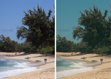 Load image into Gallery viewer, ISLAND - MOBILE