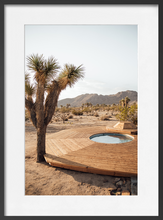 Load image into Gallery viewer, JOSHUA TREE