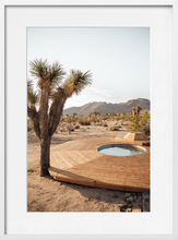 Load image into Gallery viewer, JOSHUA TREE