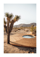 Load image into Gallery viewer, JOSHUA TREE