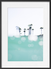Load image into Gallery viewer, LAGUNA