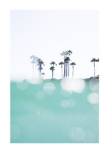 Load image into Gallery viewer, LAGUNA