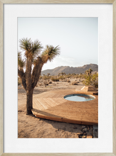 Load image into Gallery viewer, JOSHUA TREE