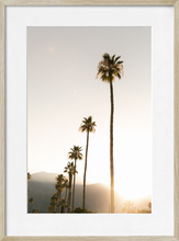 Load image into Gallery viewer, PALM SPRINGS
