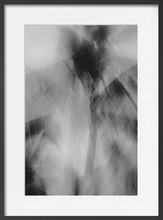 Load image into Gallery viewer, PALM