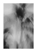 Load image into Gallery viewer, PALM