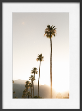 Load image into Gallery viewer, PALM SPRINGS