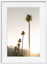 Load image into Gallery viewer, PALM SPRINGS