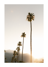 Load image into Gallery viewer, PALM SPRINGS