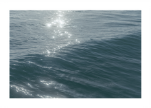 Load image into Gallery viewer, SEA