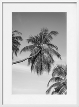 Load image into Gallery viewer, TROPICS