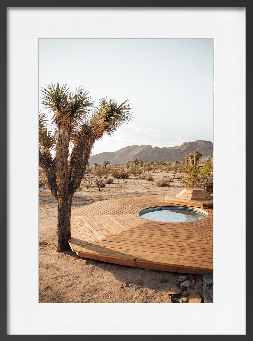 JOSHUA TREE