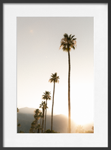 Load image into Gallery viewer, PALM SPRINGS
