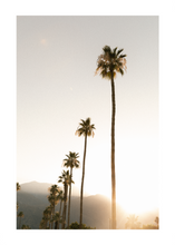 Load image into Gallery viewer, PALM SPRINGS
